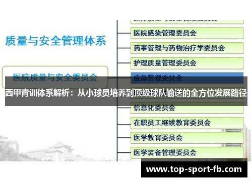 西甲青训体系解析：从小球员培养到顶级球队输送的全方位发展路径