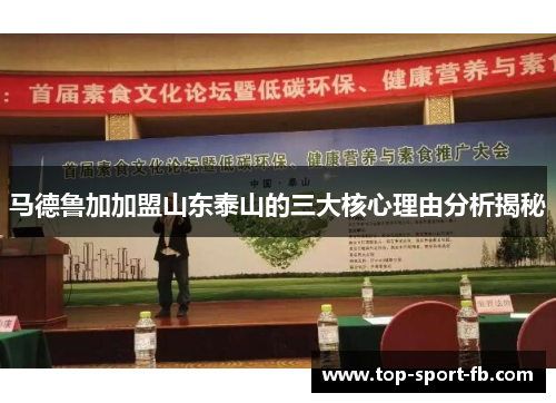 马德鲁加加盟山东泰山的三大核心理由分析揭秘 马德鲁加加盟山东泰山的三大核心理由分析揭秘